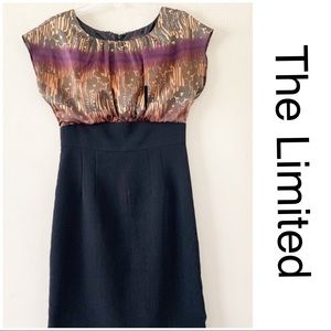 The Limited Size 2 Animal Print Dress